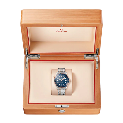Seamaster Automatic Dial 210.20.42